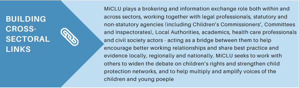 MiCLU theory of change